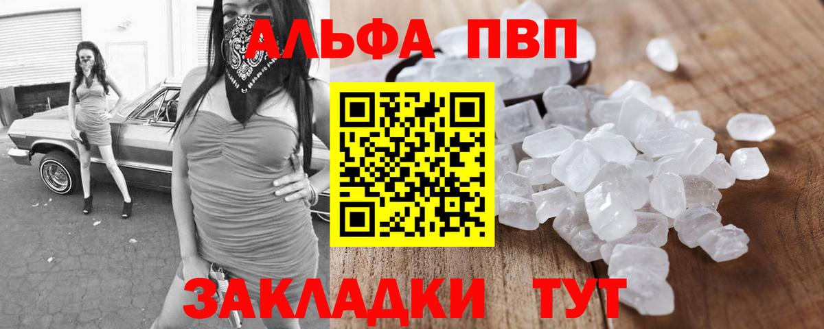 Alfa_PVP СК КРИС Сосновый Бор