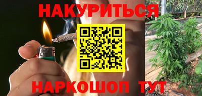 прущие грибы Малгобек