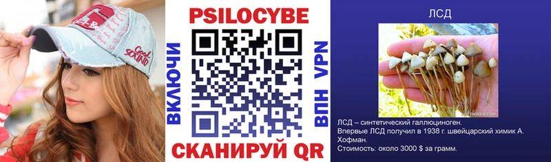 Псилоцибиновые грибы Cubensis  Сосновый Бор 