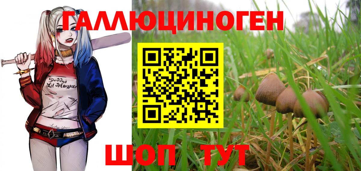 Псилоцибиновые грибы GOLDEN TEACHER Сосновый Бор